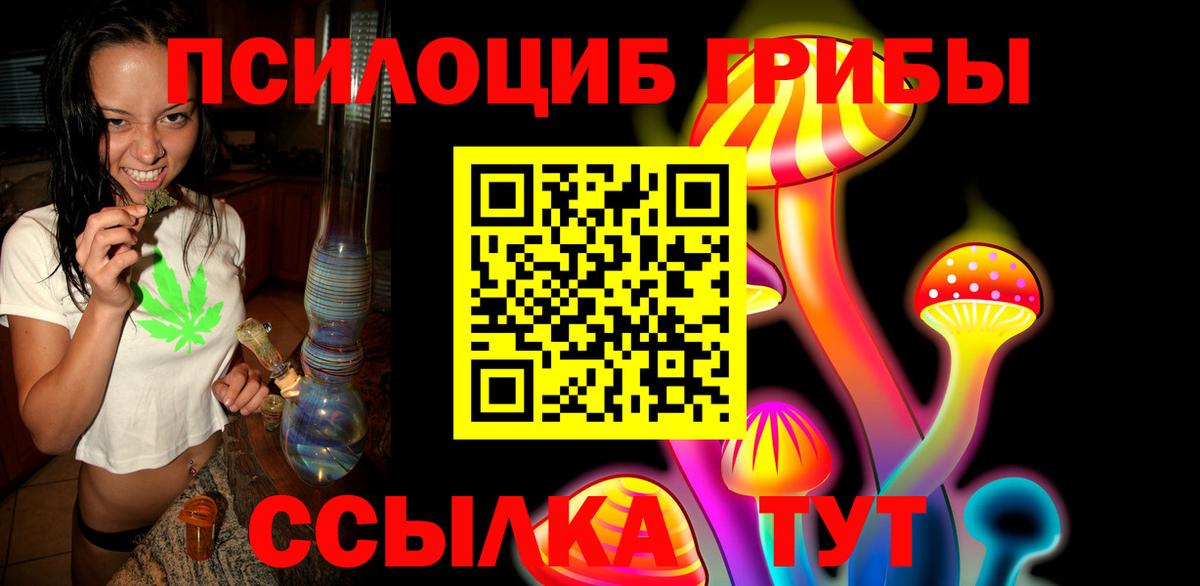 Галлюциногенные грибы мицелий  Псилоцибиновые грибы Psilocybe  Белогорск  Вход с VPN 